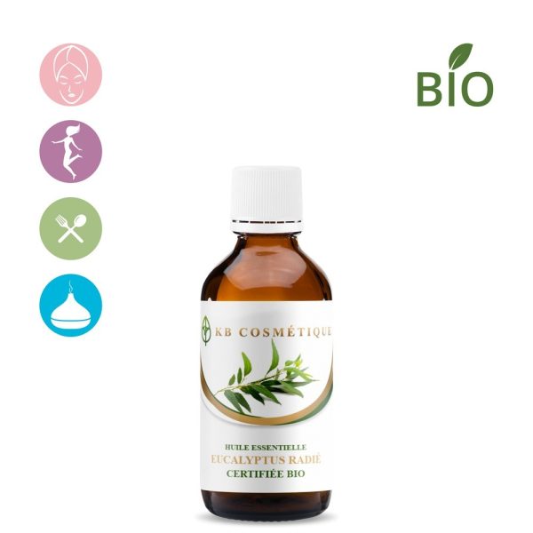 Huile essentielle d'Eucalyptus radié certifiée Bio