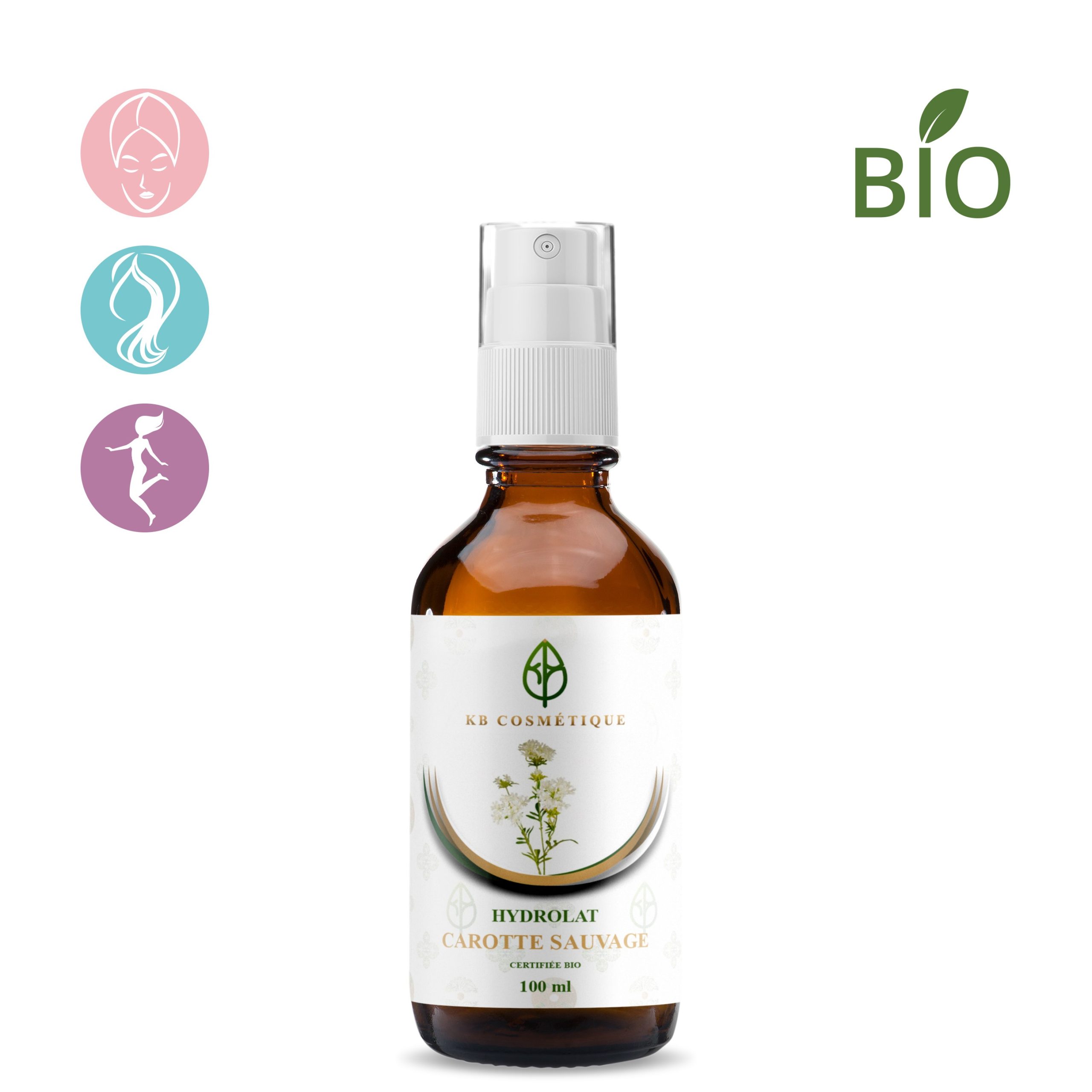 Hydrolat de Carotte Sauvage certifiée Bio Hydrolat de Carotte Sauvage certifiée Bio