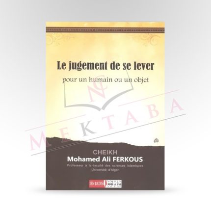 Le fait de se lever pour un humain ou un ojbet