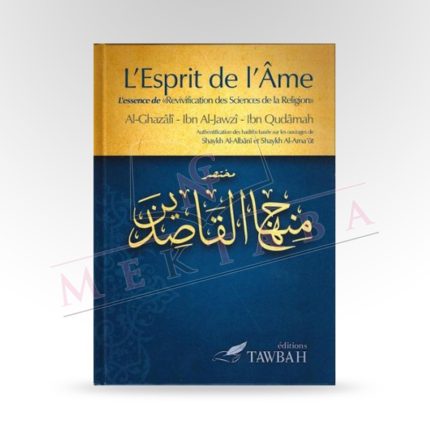 L'esprit de l'âme